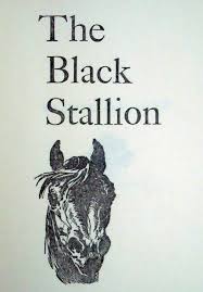 black stallion